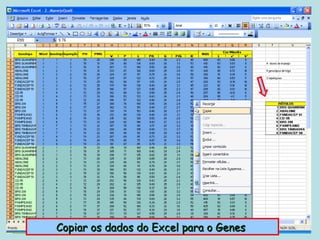 Copiar os dados do Excel para o Genes
 