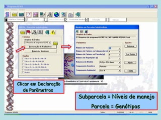 Clicar em Declaração
   de Parâmetros
                       Subparcela = Níveis de manejo
                           Parcela = Genótipos
 