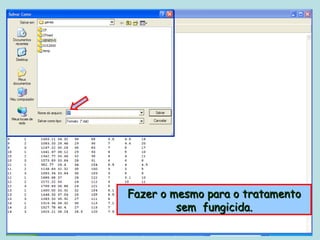 Fazer o mesmo para o tratamento
         sem fungicida.
 