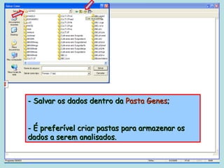 - Salvar os dados dentro da Pasta Genes;


- É preferível criar pastas para armazenar os
dados a serem analisados.
 