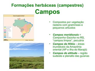 Formações herbáceas (campestres)
Campos
• Compostos por vegetação
rasteira com gramíneas e
pequenos arbustos
• Campos meridionais =
Campanha Gaúcha no RS,
“campos limpos”, pecuária
• Campos da Hiléia – áreas
inundáveis da Amazônia
oriental (AP e ilha do Marajó)
• Campos de altitude – região
sudeste e planalto das guianas
 