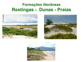 Formações litorâneas
Restingas - Dunas - Praias
 