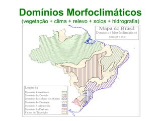 Domínios Morfoclimáticos
(vegetação + clima + relevo + solos + hidrografia)
 
