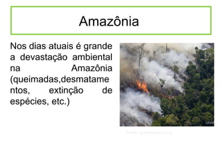 Amazônia
Nos dias atuais é grande
a devastação ambiental
na Amazônia
(queimadas,desmatame
ntos, extinção de
espécies, etc.)
Fonte: greenpeace.org
 