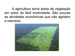 A agricultura torna áreas de vegetação
em solos de fácil erosividade. São poucas
as atividades econômicas que não agridem
a natureza.
Fonte: http://www.ciflorestas.com.br/conteudo.php?id=1679
 