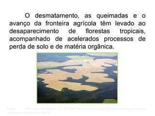 O desmatamento, as queimadas e o
avanço da fronteira agrícola têm levado ao
desaparecimento de florestas tropicais,
acompanhado de acelerados processos de
perda de solo e de matéria orgânica.
Fonte: http://www.ecodebate.com.br/2008/10/06/solo-da-amazonia-nao-suporta-modelo-de-
agricultura-adotado-na-regiao/
 