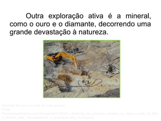 Outra exploração ativa é a mineral,
como o ouro e o diamante, decorrendo uma
grande devastação à natureza.
Extração de ouro no norte do mato grosso.
Fonte:
http://nortaonoticias.com.br/regional/51483/A_retomada_da_extracao_mineral_na_regiao_norte_de_Mat
o_Grosso_esta_impulsionando_a_economia_dos_municipios_
 