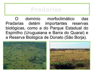 O domínio morfoclimático das
Pradarias detém importantes reservas
biológicas, como a do Parque Estadual do
Espinilho (Uruguaiana e Barra do Quarai) e
a Reserva Biológica de Donato (São Borja).
Pradarias
 