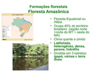 Formações florestais
Floresta Amazônica
• Floresta Equatorial ou
Hiléia
• Ocupa 40% do território
brasileiro (região norte
+norte do MT + oeste do
MA)
• Clima quente e úmido
• Latifoliada,
heterogênea, densa,
perene, hidrófila
• Dividida em 3 estratos:
igapó, várzea e terra
firme
 