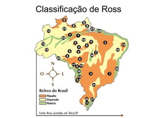 Classificação de Ross
 