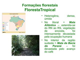 Formações florestais
FlorestaTropical
• Heterogêna, densa,
úmida
• No litoral = Mata
Atlântica – estendia-se
do RN ao RS, vegetação
de encosta, foi
intensamente devastada
pela ocupação humana
• No interior da região
sudeste = Mata da Bacia
do Paraná – foi
devastada pelo avanço
do café
 