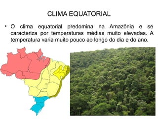 CLIMA EQUATORIAL
• O clima equatorial predomina na Amazônia e se
caracteriza por temperaturas médias muito elevadas. A
temperatura varia muito pouco ao longo do dia e do ano.
 