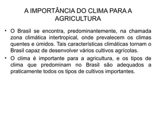 A IMPORTÂNCIA DO CLIMA PARA A
AGRICULTURA
• O Brasil se encontra, predominantemente, na chamada
zona climática intertropical, onde prevalecem os climas
quentes e úmidos. Tais características climáticas tornam o
Brasil capaz de desenvolver vários cultivos agrícolas.
• O clima é importante para a agricultura, e os tipos de
clima que predominam no Brasil são adequados a
praticamente todos os tipos de cultivos importantes.
 
