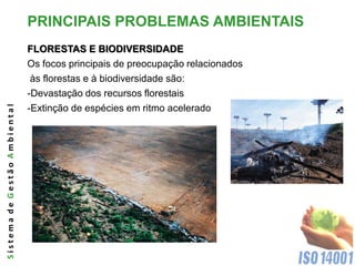PRINCIPAIS PROBLEMAS AMBIENTAIS
                              FLORESTAS E BIODIVERSIDADE
                              Os focos principais de preocupação relacionados
                               às florestas e à biodiversidade são:
                              -Devastação dos recursos florestais
Sistema de Gestão Ambiental




                              -Extinção de espécies em ritmo acelerado
 