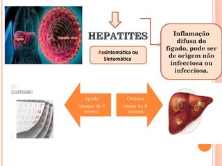 HEPATITES
HEPATITES Inflamação
difusa do
fígado, pode ser
de origem não
infecciosa ou
infecciosa.
Assintomática ou
Sintomática
 