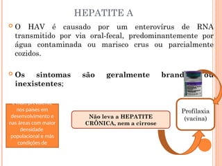 HEPATITE A
 O HAV é causado por um enterovírus de RNA
transmitido por via oral-fecal, predominantemente por
água contaminada ou marisco crus ou parcialmente
cozidos.
 Os sintomas são geralmente brandos ou
inexistentes;
Não leva a HEPATITE
CRÔNICA, nem a cirrose
Profilaxia
(vacina)
É mais prevalente
nos países em
desenvolvimento e
nas áreas com maior
densidade
populacional e más
condições de
saneamento
 