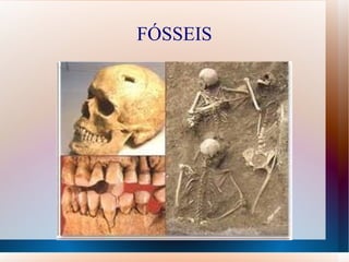 FÓSSEIS
 