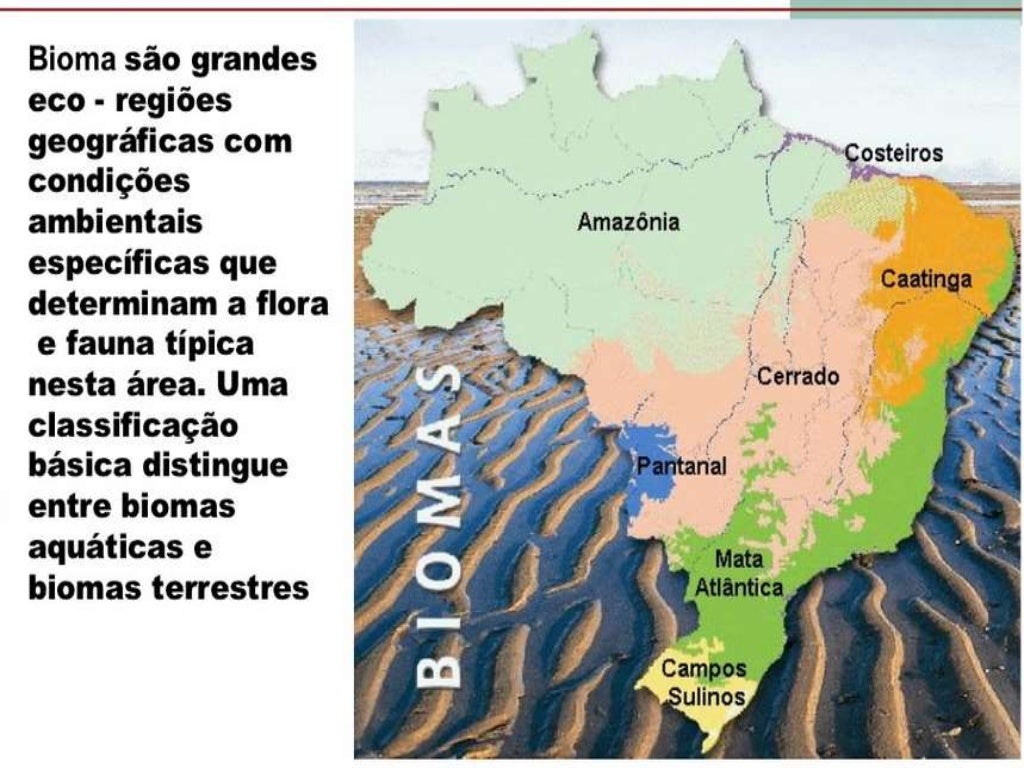 Impactos Ambientais Em Biomas Brasileiros - NAZAEDU