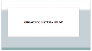 11
ÓRGÃOS DO SISTEMA IMUNE
 