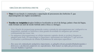 ORGÃOS DO SISTEMA IMUNE
14
 Timo (A sua função é a maturação e capacitação de precursores dos linfócitos T, que
depoismigrarão aos órgãos secundários).
 Tonsilas ou Amígdalas (orgãos linfáticos localizados ao nível da farínge, palato e base da língua,
onde formam um anel de tecido linfóide entre a boca e a faringe).
 Em a função de proporcionar protecção contra a entrada de microrganismos por viadigestiva ou
respiratória, expondo os linfócitos a uma grande diversidade de antígenos que entram
continuamente por essas vias.
 Os antígenos (microrganismos ou células tumorais captados desde os tecidos) chegam ao
gânglios pela linfa. Os macrófagos os fagocitam e apresentam aos linfócitos T, que activam
e estimulam a proliferação de células B produtoras de anticorpos específicos .
 Em casos de estimulação antigénica importante, os gânglios ficam grandes(linfadenopatia) e
dolorosos e facilmente palpáveis (os superficiais). Todo tumor ou infecção provoca uma
reacção linfática regional .
 