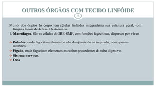 OUTROS ÓRGÃOS COM TECIDO LINFÓIDE
16
Muitos dos órgãos do corpo tem células linfóides integradasna sua estrutura geral, com
funções locais de defesa. Destacam-se:
1. Macrófagos. São as células do SRE-SMF, com funções fagocíticas, dispersos por vários
 Pulmões, onde fagocitam elementos não desejáveis do ar inspirado, como poeira
outabaco.
 Fígado, onde fagocitam elementos estranhos procedentes do tubo digestivo.
 Sistema nervoso.
 Osso
 