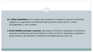 17
2. Células dendríticas (são as típicas apresentadoras de antígenos) capazes de identificar
antígenos e os apresentar aos linfócitos.Estão presentes na pele (são as “células
deLangherhans”), rins, coração).
3.Tecido linfóide associado a mucosas. São grupos de linfócitos organizados em folículos,
presentes na submucosa dos tratos digestivo (“placas de Peyer” intestinais), respiratório e
genito-urinário, que defendem a entrada de microrganismos por estas vias.
 