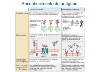 Reconhecimento do antígeno
 