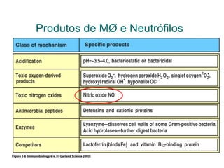 Produtos de MØ e Neutrófilos
 