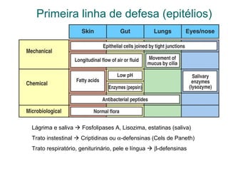Primeira linha de defesa (epitélios)
Lágrima e saliva  Fosfolipases A, Lisozima, estatinas (saliva)
Trato instestinal  Criptidinas ou α-defensinas (Cels de Paneth)
Trato respiratório, geniturinário, pele e língua  β-defensinas
 