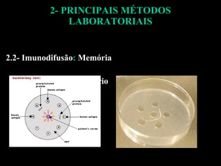 2- PRINCIPAIS MÉTODOS LABORATORIAIS 2.2- Imunodifusão :  Memória Não reatividade ao próprio 