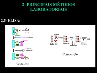 2- PRINCIPAIS MÉTODOS LABORATORIAIS 2.5- ELISA: Sanduíche Competição 