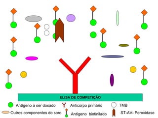 ELISA DE COMPETIÇÃO Outros componentes do soro Antígeno a ser dosado Anticorpo primário Antígeno  biotinilado TMB ST-AV- Peroxidase 
