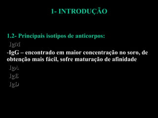 1- INTRODUÇÃO 1.2- Principais isotipos de anticorpos: IgM IgG – encontrado em maior concentração no soro, de obtenção mais fácil, sofre maturação de afinidade IgA IgE IgD 