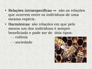 • Relações intraespecíficas são as relações
que ocorrem entre os indivíduos de uma
mesma espécie.
• Harmônicas: são relações em que pelo
menos um dos indivíduos é sempre
beneficiado e pode ser de dois tipos:
colônia
sociedade
 