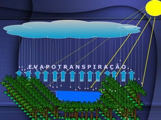 E V A P O T R A N S P I R A Ç Ã O
 