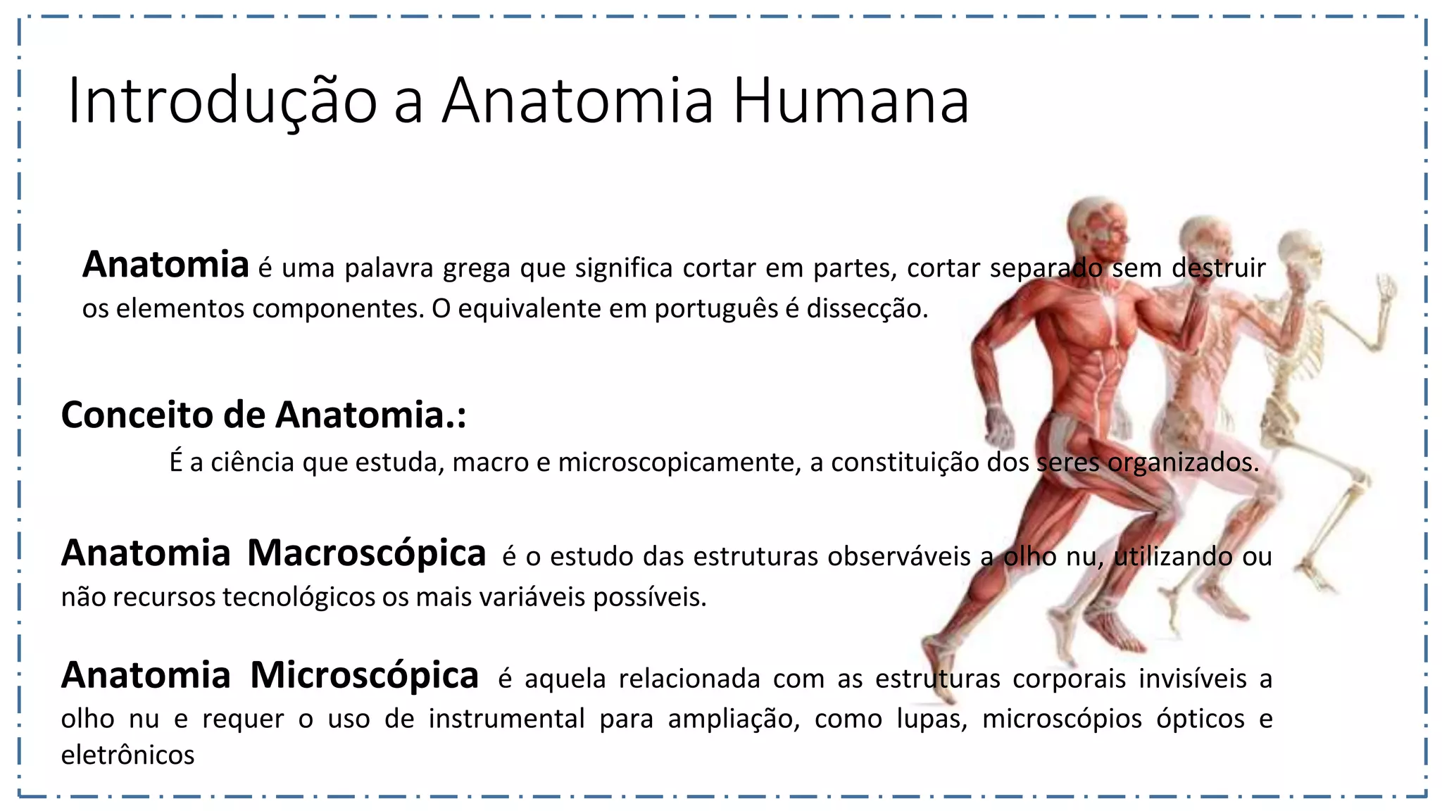 Aula - Introdução à Anatomia e Fisiologia Humana e Sistema Esquelético ...