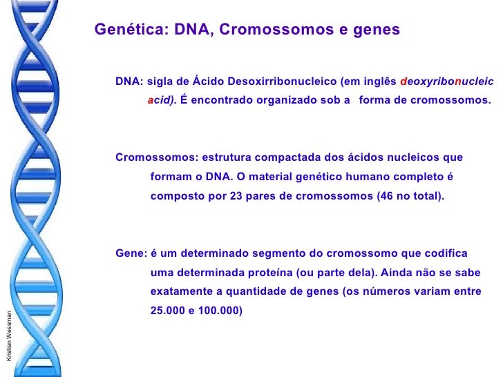 Introdução a genetica humana