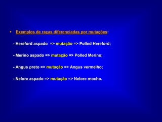  Exemplos de raças diferenciadas por mutações:
- Hereford aspado => mutação => Polled Hereford;
- Merino aspado => mutação => Polled Merino;
- Angus preto => mutação => Angus vermelho;
- Nelore aspado => mutação => Nelore mocho.
 