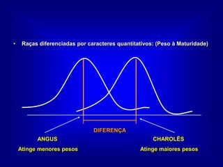• Raças diferenciadas por caracteres quantitativos: (Peso à Maturidade)
ANGUS
Atinge menores pesos
CHAROLÊS
Atinge maiores pesos
DIFERENÇA
 