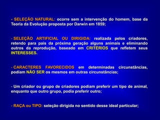 - SELEÇÃO NATURAL: ocorre sem a intervenção do homem, base da
Teoria da Evolução proposta por Darwin em 1859;
- SELEÇÃO ARTIFICIAL OU DIRIGIDA: realizada pelos criadores,
retendo para pais da próxima geração alguns animais e eliminando
outros da reprodução, baseado em CRITÉRIOS que refletem seus
INTERESSES.
- CARACTERES FAVORECIDOS em determinadas circunstâncias,
podiam NÃO SER os mesmos em outras circunstâncias;
- Um criador ou grupo de criadores podiam preferir um tipo de animal,
enquanto que outro grupo, podia preferir outro;
- RAÇA ou TIPO: seleção dirigida no sentido desse ideal particular;
 