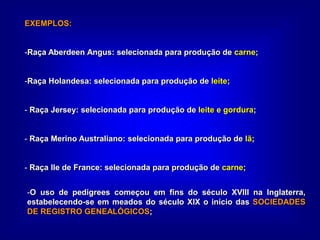 EXEMPLOS:
-Raça Aberdeen Angus: selecionada para produção de carne;
-Raça Holandesa: selecionada para produção de leite;
- Raça Jersey: selecionada para produção de leite e gordura;
- Raça Merino Australiano: selecionada para produção de lã;
- Raça Ile de France: selecionada para produção de carne;
-O uso de pedigrees começou em fins do século XVIII na Inglaterra,
estabelecendo-se em meados do século XIX o início das SOCIEDADES
DE REGISTRO GENEALÓGICOS;
 