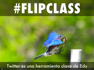 Photo by kansasphoto - Creative Commons Attribution License https://www.flickr.com/photos/34022876@N06 Created with Haiku Deck 
 