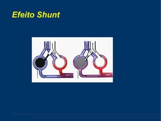 Efeito Shunt 