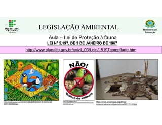 Ministério da
Educação
LEGISLAÇÃO AMBIENTAL
Aula – Lei de Proteção à fauna
http://www.planalto.gov.br/ccivil_03/Leis/L5197compilado.htm
LEI N° 5.197, DE 3 DE JANEIRO DE 1967
https://static.quizur.com/i/b/5537c03b908f68.090541915537c03b3
239f1.06692333.jpg
http://3.bp.blogspot.com/-
e0y37zD0N98/Tmf5cVDTiII/AAAAAAAAALM/4ovsrzut6l
U/s1600/trafico.jpg
https://www.projetogap.org.br/wp-
content/uploads/oldgap/noticia,G,01,3149.jpg
 