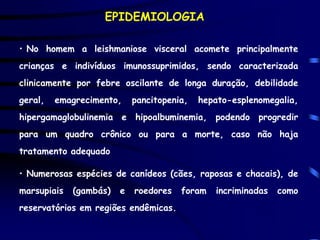 EPIDEMIOLOGIA

• No homem a leishmaniose visceral acomete principalmente
crianças e indivíduos imunossuprimidos, sendo caracterizada
clinicamente por febre oscilante de longa duração, debilidade
geral,   emagrecimento,     pancitopenia,   hepato-esplenomegalia,
hipergamaglobulinemia e hipoalbuminemia, podendo progredir
para um quadro crônico ou para a morte, caso não haja
tratamento adequado

• Numerosas espécies de canídeos (cães, raposas e chacais), de
marsupiais   (gambás)   e   roedores   foram   incriminadas   como
reservatórios em regiões endêmicas.
 