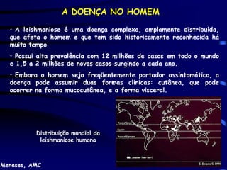 A DOENÇA NO HOMEM

  • A leishmaniose é uma doença complexa, amplamente distribuída,
  que afeta o homem e que tem sido historicamente reconhecida há
  muito tempo
  • Possui alta prevalência com 12 milhões de casos em todo o mundo
  e 1,5 a 2 milhões de novos casos surgindo a cada ano.
  • Embora o homem seja freqüentemente portador assintomático, a
  doença pode assumir duas formas clinicas: cutânea, que pode
  ocorrer na forma mucocutânea, e a forma visceral.




          Distribuição mundial da
           leishmaniose humana



Meneses, AMC
 