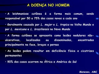 A DOENÇA NO HOMEM

• A   leishmaniose   cutânea   é    a   forma   mais    comum,   sendo
responsável por 50 a 75% dos casos novos a cada ano

• Geralmente causada por L. major e L. tropica no Velho Mundo e
por L. mexicana e L. braziliensis no Novo Mundo

• A forma cutânea se apresenta como lesões nodulares não-
ulcerativas,    localizadas    ou       disseminadas,     encontradas
principalmente na face, braços e pernas

• As lesões podem resultar em deficiência física e cicatrizes
permanentes

• 90% dos casos ocorrem na África e América do Sul


                                                           Meneses, AMC
 