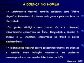A DOENÇA NO HOMEM

• A Leishmaniose visceral, também conhecida como "Febre

Negra" ou Kala-Azar, é a forma mais grave e pode ser fatal se

não tratada

• Os agentes etiológicos mais comuns são a L. donovani,

primariamente encontrada na Índia, Bangladesh e Sudão; L.

chagasi   e   L.    infantum,   encontradas   no   Brasil   e   países

mediterrâneos

• A leishmaniose visceral ocorre predominantemente em crianças

e   também         como   infecção   oportunista     em     pacientes

imunossuprimidos como aqueles infectados por HIV
                                                            Meneses, AMC
 