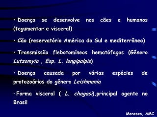 • Doença   se   desenvolve      nos   cães     e   humanos
(tegumentar e visceral)

• Cão (reservatório América do Sul e mediterrâneo)

• Transmissão flebotomíneos hematófagos (Gênero
Lutzomyia , Esp. L. longipalpis)

• Doença    causada       por    várias      espécies    de
protozoários do gênero Leishmania

• Forma visceral (    L. chagasi),principal agente no
Brasil

                                                   Meneses, AMC
 