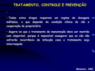 TRATAMENTO, CONTROLE E PREVENÇÃO

•

• Todas      estas   drogas   requerem   um   regime    de    dosagens
múltiplas,    o   que   depende   da   condição   clínica   do   cão   e
cooperação do proprietário

• Sugere-se que o tratamento de manutenção deve ser mantido
com alopurinol, porque é impossível assegurar que os cão não
sofrerão recorrência da infecção caso o tratamento seja
interrompido




                                                             Meneses, AMC
 